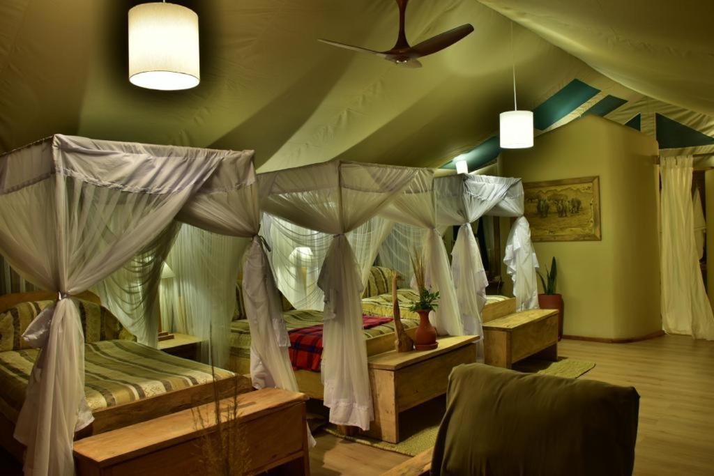 Mara Maisha Camp Talek Kültér fotó